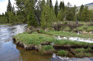 Filename=DSC_6360.JPG
Filesize=24727KiB
Dimensions=7360x4912
Date added=Sep 19, 2019 DSC_6360.JPG