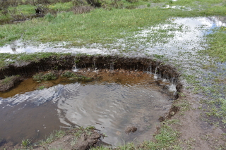 Filename=DSC_6361.JPG
Filesize=24602KiB
Dimensions=7360x4912
Date added=Sep 19, 2019 DSC_6361.JPG