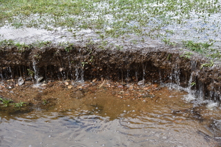 Filename=DSC_6362.JPG
Filesize=23317KiB
Dimensions=7360x4912
Date added=Sep 19, 2019 DSC_6362.JPG