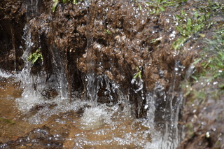 Filename=DSC_6363.JPG
Filesize=19426KiB
Dimensions=7360x4912
Date added=Sep 19, 2019 DSC_6363.JPG