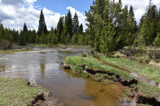 Filename=DSC_6366.JPG
Filesize=25651KiB
Dimensions=7360x4912
Date added=Sep 19, 2019 DSC_6366.JPG