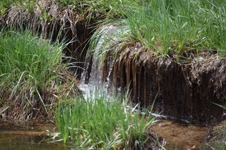 Filename=DSC_6367.JPG
Filesize=21482KiB
Dimensions=7360x4912
Date added=Sep 19, 2019 DSC_6367.JPG