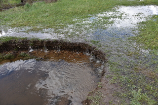 Filename=DSC_6371.JPG
Filesize=25278KiB
Dimensions=7360x4912
Date added=Sep 19, 2019 DSC_6371.JPG