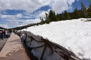 Filename=DSC_6409.JPG
Filesize=18289KiB
Dimensions=7360x4912
Date added=Sep 19, 2019 DSC_6409.JPG