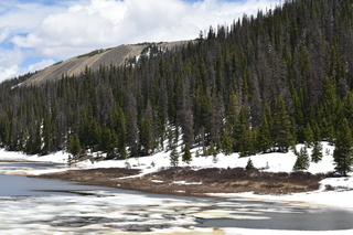 Filename=DSC_6413.JPG
Filesize=21957KiB
Dimensions=7360x4912
Date added=Sep 19, 2019 DSC_6413.JPG