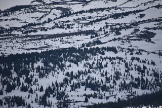 Filename=DSC_6444.JPG
Filesize=18196KiB
Dimensions=7360x4912
Date added=Sep 19, 2019 DSC_6444.JPG