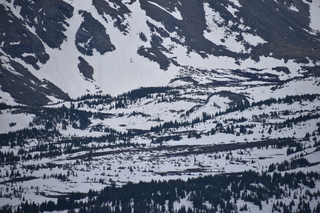 Filename=DSC_6445.JPG
Filesize=17867KiB
Dimensions=7360x4912
Date added=Sep 19, 2019 DSC_6445.JPG