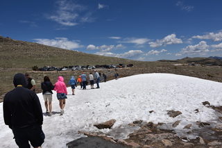 Filename=DSC_6471.JPG
Filesize=20184KiB
Dimensions=7360x4912
Date added=Sep 19, 2019 DSC_6471.JPG