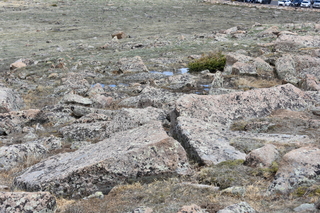 Filename=DSC_6492.JPG
Filesize=25294KiB
Dimensions=7360x4912
Date added=Sep 19, 2019 DSC_6492.JPG