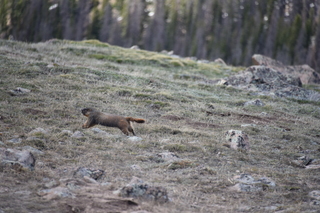 Filename=DSC_6501.JPG
Filesize=18177KiB
Dimensions=7360x4912
Date added=Sep 19, 2019 DSC_6501.JPG