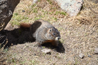 Filename=DSC_6527.JPG
Filesize=22341KiB
Dimensions=7360x4912
Date added=Sep 19, 2019 DSC_6527.JPG