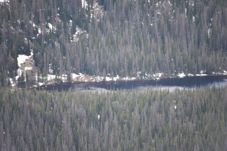 Filename=DSC_6547.JPG
Filesize=19346KiB
Dimensions=7360x4912
Date added=Sep 19, 2019 DSC_6547.JPG