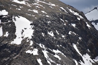 Filename=DSC_6556.JPG
Filesize=21037KiB
Dimensions=7360x4912
Date added=Sep 19, 2019 DSC_6556.JPG