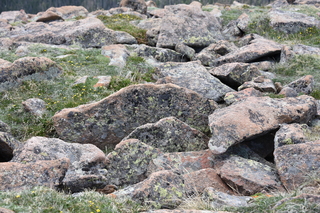 Filename=DSC_6565.JPG
Filesize=25084KiB
Dimensions=7360x4912
Date added=Sep 19, 2019 DSC_6565.JPG