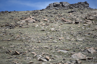 Filename=DSC_6579.JPG
Filesize=23632KiB
Dimensions=7360x4912
Date added=Sep 19, 2019 DSC_6579.JPG