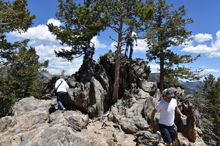 Filename=DSC_6585.JPG
Filesize=25874KiB
Dimensions=7360x4912
Date added=Sep 19, 2019 DSC_6585.JPG