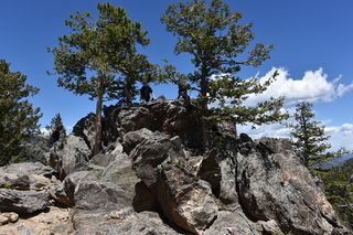 Filename=DSC_6589.JPG
Filesize=24692KiB
Dimensions=7360x4912
Date added=Sep 19, 2019 DSC_6589.JPG