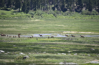 Filename=DSC_6681.JPG
Filesize=20078KiB
Dimensions=7360x4912
Date added=Sep 19, 2019 DSC_6681.JPG