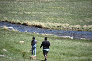 Filename=DSC_6771.JPG
Filesize=23692KiB
Dimensions=7360x4912
Date added=Sep 18, 2019 DSC_6771.JPG