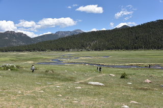 Filename=DSC_6773.JPG
Filesize=23959KiB
Dimensions=7360x4912
Date added=Sep 18, 2019 DSC_6773.JPG