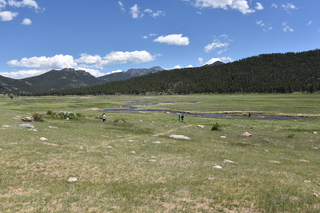 Filename=DSC_6774.JPG
Filesize=24172KiB
Dimensions=7360x4912
Date added=Sep 18, 2019 DSC_6774.JPG