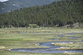 Filename=DSC_6777.JPG
Filesize=24475KiB
Dimensions=7360x4912
Date added=Sep 18, 2019 DSC_6777.JPG