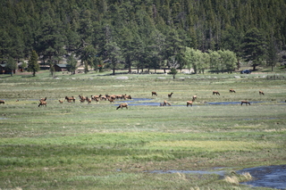 Filename=DSC_6780.JPG
Filesize=21345KiB
Dimensions=7360x4912
Date added=Sep 18, 2019 DSC_6780.JPG