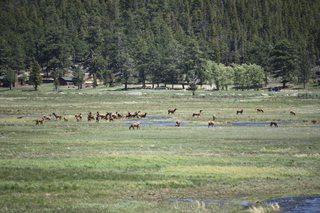 Filename=DSC_6782.JPG
Filesize=21739KiB
Dimensions=7360x4912
Date added=Sep 18, 2019 DSC_6782.JPG