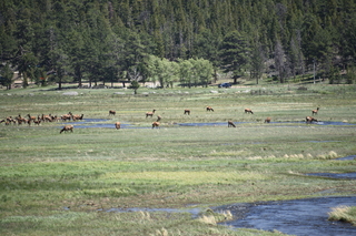 Filename=DSC_6784.JPG
Filesize=21683KiB
Dimensions=7360x4912
Date added=Sep 18, 2019 DSC_6784.JPG