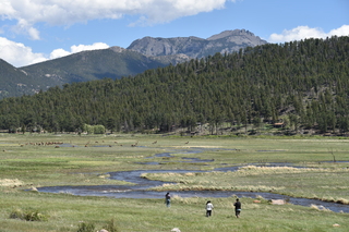 Filename=DSC_6785.JPG
Filesize=24719KiB
Dimensions=7360x4912
Date added=Sep 18, 2019 DSC_6785.JPG