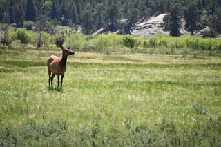 Filename=DSC_6786.JPG
Filesize=19859KiB
Dimensions=7360x4912
Date added=Sep 18, 2019 DSC_6786.JPG