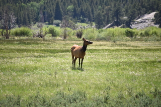 Filename=DSC_6787.JPG
Filesize=20201KiB
Dimensions=7360x4912
Date added=Sep 18, 2019 DSC_6787.JPG