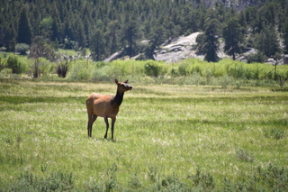 Filename=DSC_6789.JPG
Filesize=20199KiB
Dimensions=7360x4912
Date added=Sep 18, 2019 DSC_6789.JPG