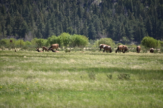 Filename=DSC_6791.JPG
Filesize=19113KiB
Dimensions=7360x4912
Date added=Sep 18, 2019 DSC_6791.JPG