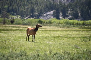 Filename=DSC_6793.JPG
Filesize=19797KiB
Dimensions=7360x4912
Date added=Sep 18, 2019 DSC_6793.JPG