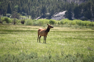 Filename=DSC_6794.JPG
Filesize=19814KiB
Dimensions=7360x4912
Date added=Sep 18, 2019 DSC_6794.JPG