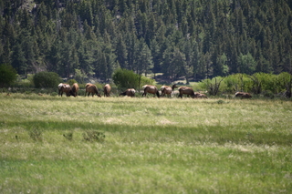 Filename=DSC_6795.JPG
Filesize=18742KiB
Dimensions=7360x4912
Date added=Sep 18, 2019 DSC_6795.JPG