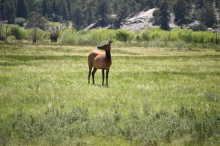 Filename=DSC_6799.JPG
Filesize=20064KiB
Dimensions=7360x4912
Date added=Sep 18, 2019 DSC_6799.JPG