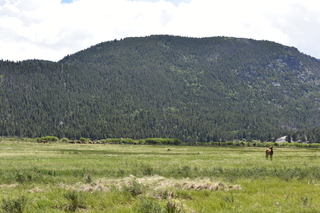 Filename=DSC_6800.JPG
Filesize=22947KiB
Dimensions=7360x4912
Date added=Sep 18, 2019 DSC_6800.JPG