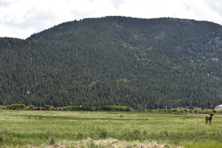 Filename=DSC_6801.JPG
Filesize=22973KiB
Dimensions=7360x4912
Date added=Sep 18, 2019 DSC_6801.JPG