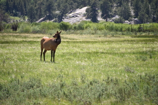 Filename=DSC_6804.JPG
Filesize=19848KiB
Dimensions=7360x4912
Date added=Sep 18, 2019 DSC_6804.JPG