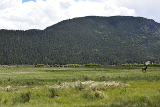 Filename=DSC_6809.JPG
Filesize=23335KiB
Dimensions=7360x4912
Date added=Sep 18, 2019 DSC_6809.JPG