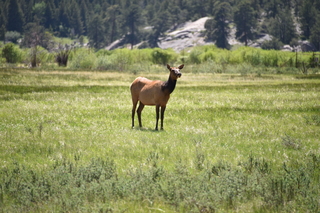 Filename=DSC_6810.JPG
Filesize=20050KiB
Dimensions=7360x4912
Date added=Sep 18, 2019 DSC_6810.JPG