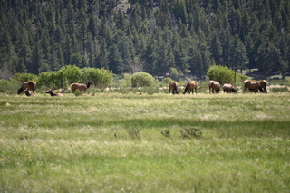 Filename=DSC_6811.JPG
Filesize=18992KiB
Dimensions=7360x4912
Date added=Sep 18, 2019 DSC_6811.JPG