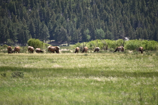 Filename=DSC_6812.JPG
Filesize=19586KiB
Dimensions=7360x4912
Date added=Sep 18, 2019 DSC_6812.JPG