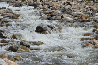 Filename=DSC_6829.JPG
Filesize=22582KiB
Dimensions=7360x4912
Date added=Sep 18, 2019 DSC_6829.JPG