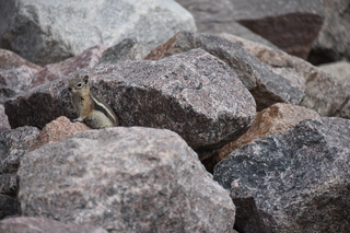 Filename=DSC_6830.JPG
Filesize=19049KiB
Dimensions=7360x4912
Date added=Sep 18, 2019 DSC_6830.JPG