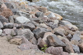 Filename=DSC_6832.JPG
Filesize=23487KiB
Dimensions=7360x4912
Date added=Sep 18, 2019 DSC_6832.JPG