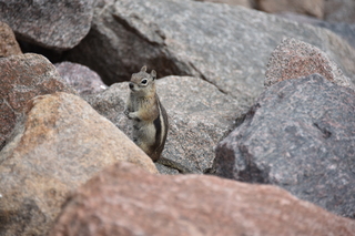 Filename=DSC_6835.JPG
Filesize=16160KiB
Dimensions=7360x4912
Date added=Sep 18, 2019 DSC_6835.JPG