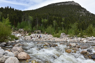 Filename=DSC_6839.JPG
Filesize=23929KiB
Dimensions=7360x4912
Date added=Sep 18, 2019 DSC_6839.JPG